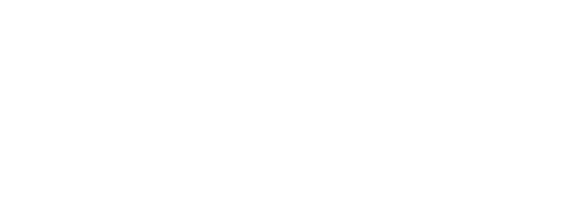 flierland logo
